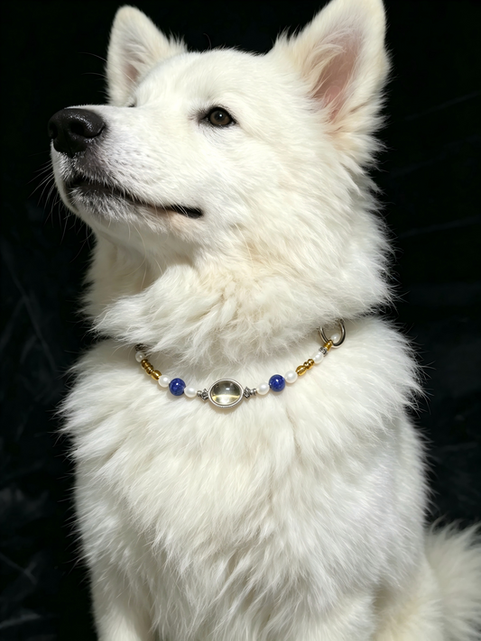 Pearl & Lapis Lazuli Pet Collar – natural crystal jewelry by Joyseven