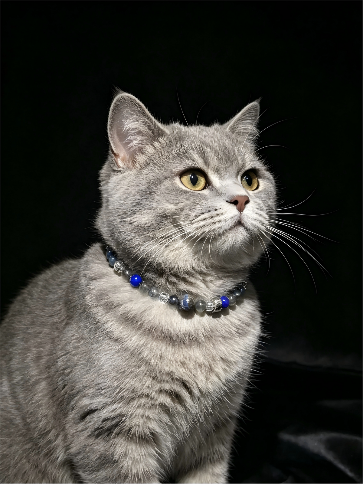 Kyanite & Lapis Lazuli Pet Collar – natural crystal jewelry by Joyseven