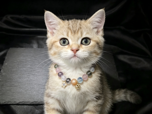 Rainbow Crystal Pet Collar – natural crystal jewelry by Joyseven
