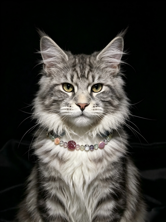 Fluorite & Strawberry Quartz Cat Collar – natural crystal jewelry by Joyseven