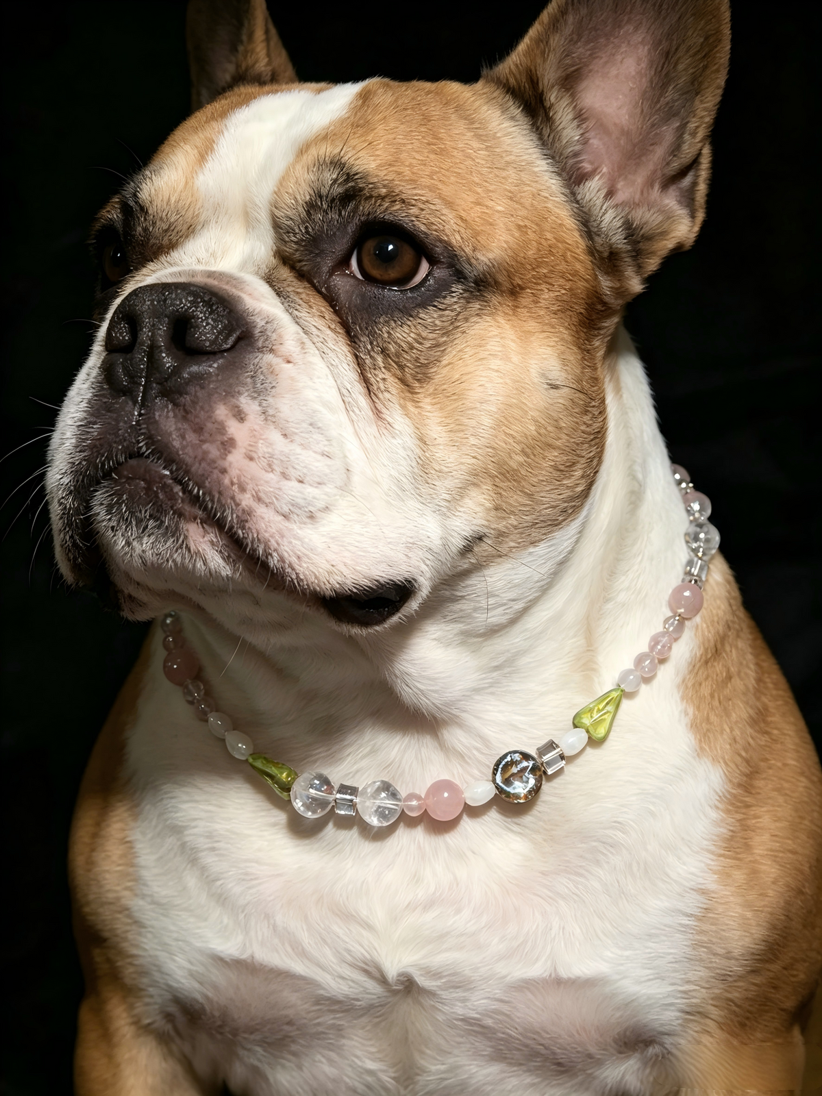 Phantom & Rose Quartz Pet Collar – natural crystal jewelry by Joyseven